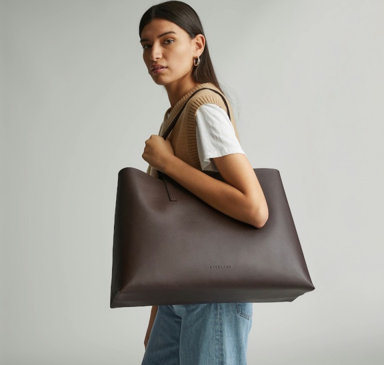 Everlane The New Day Market Tote