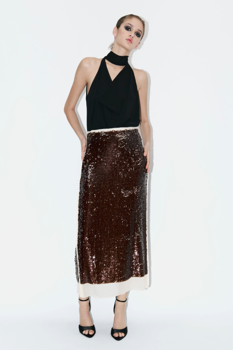 Zara Sequin Chiffon Skirt ZW Collection