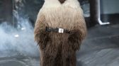 Moncler Grenoble Fall 2025 Courchevel