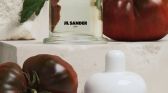 Jil Sander Olfactory Series 1